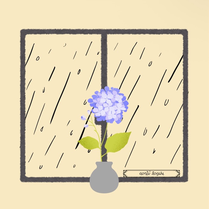 profile cover