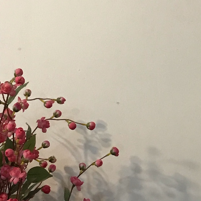profile cover