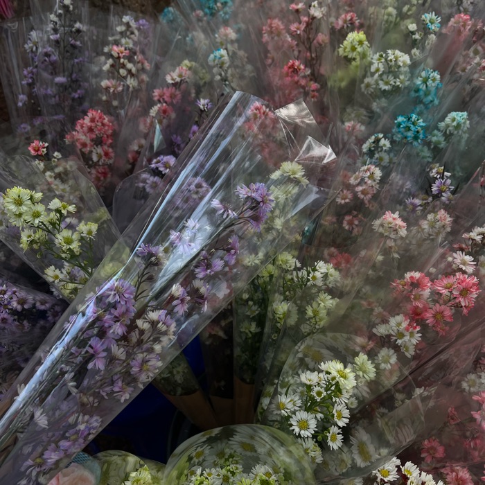 profile cover
