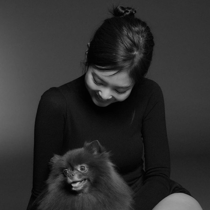 profile cover