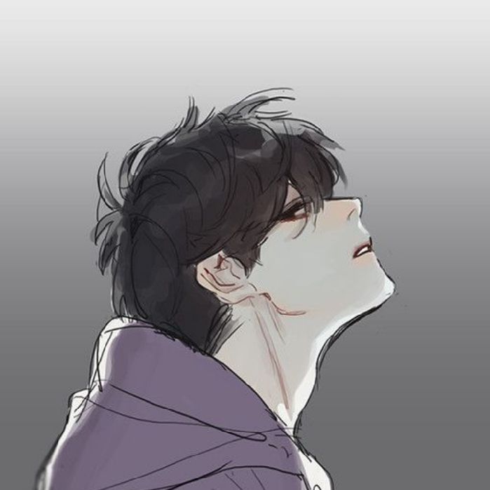 profile cover