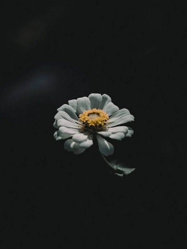 story-img