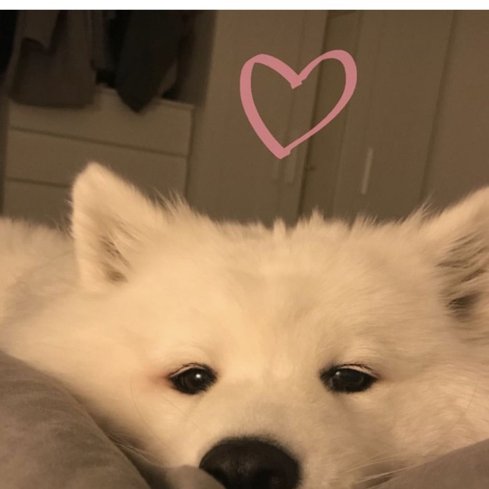 profile cover