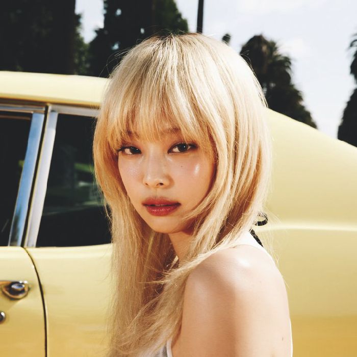 profile cover
