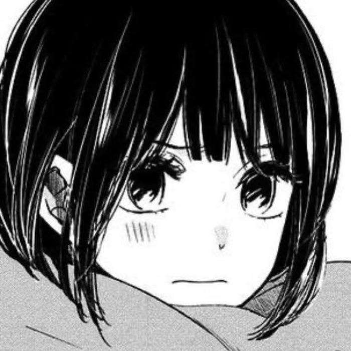 profile cover