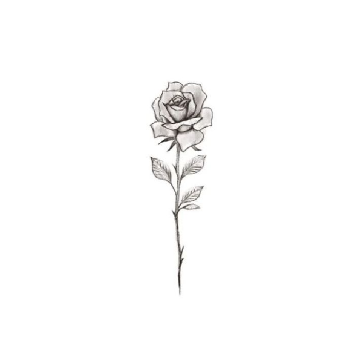 profile cover