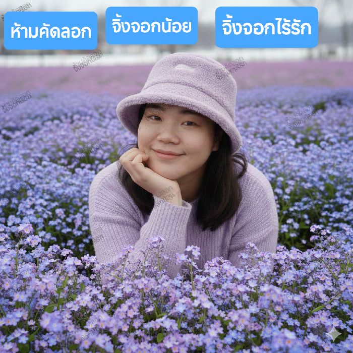 profile cover