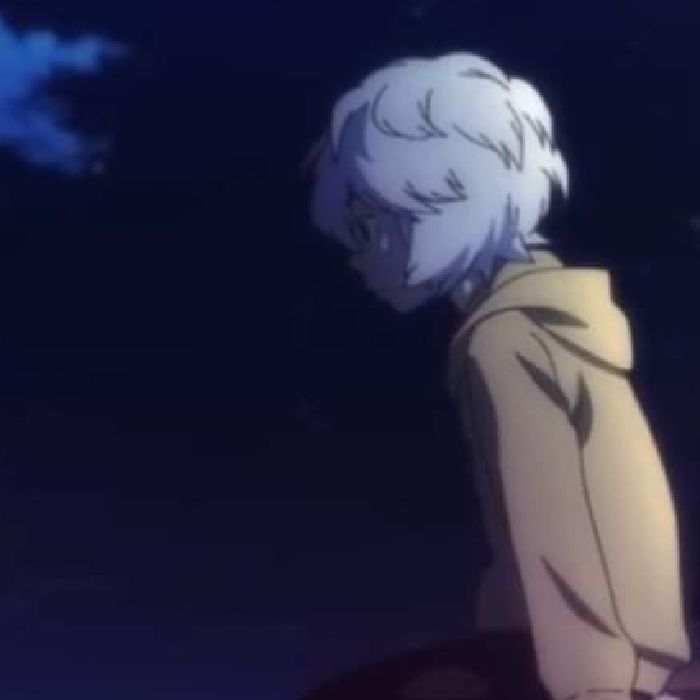 profile cover