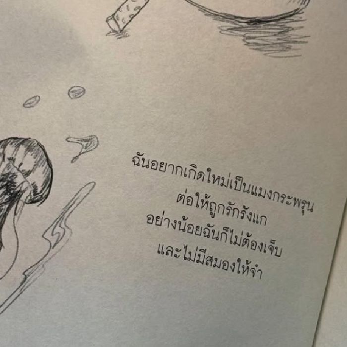 profile cover