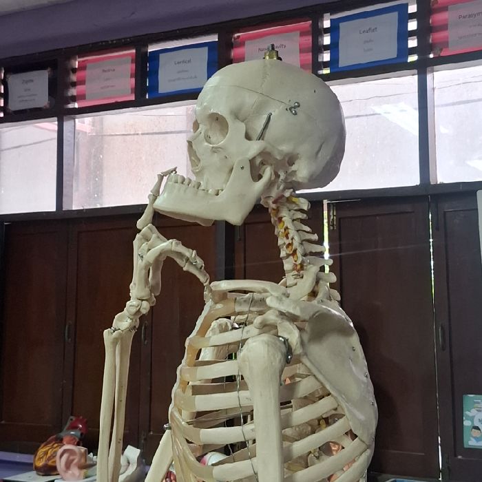 profile-image