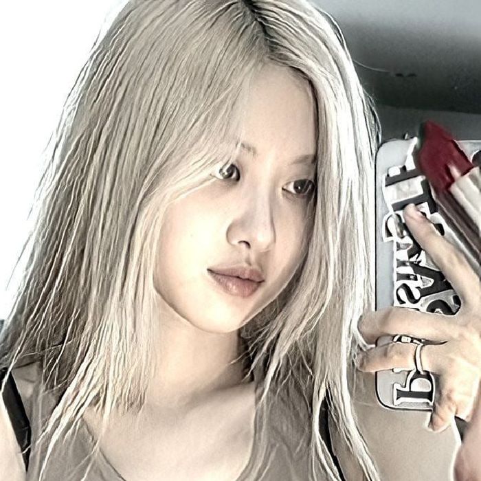 profile cover