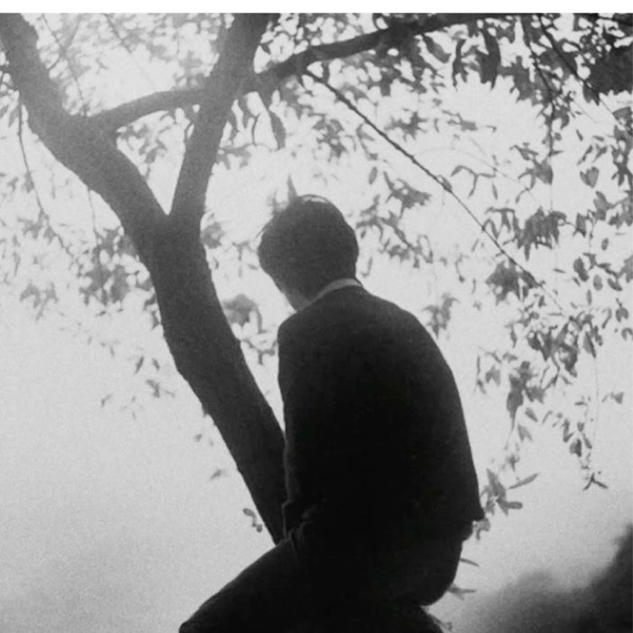 profile cover