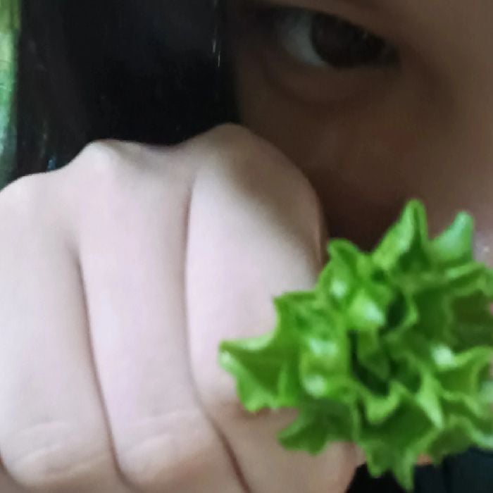 profile cover