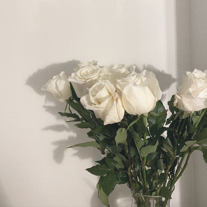 profile cover