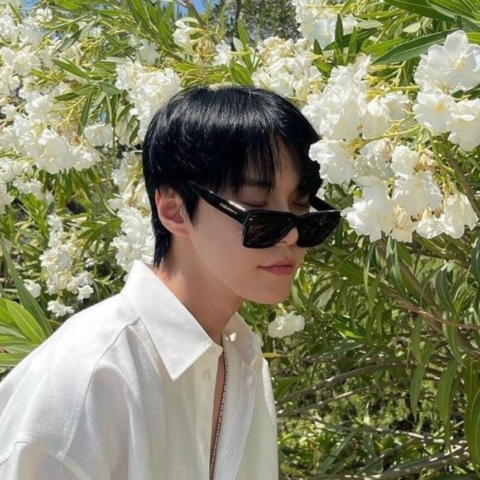 profile cover