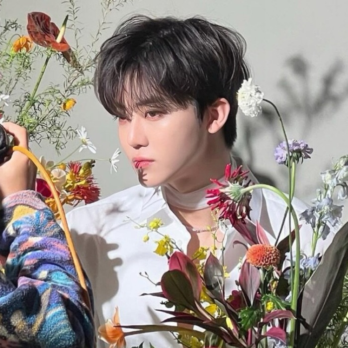 profile cover
