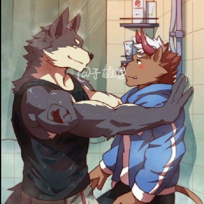 profile cover