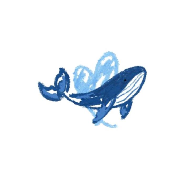 profile cover