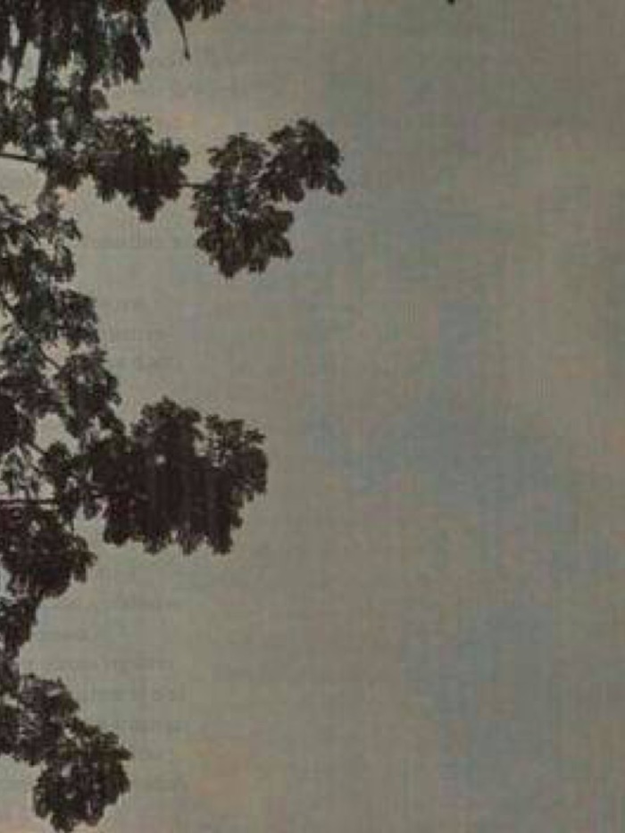 story-img