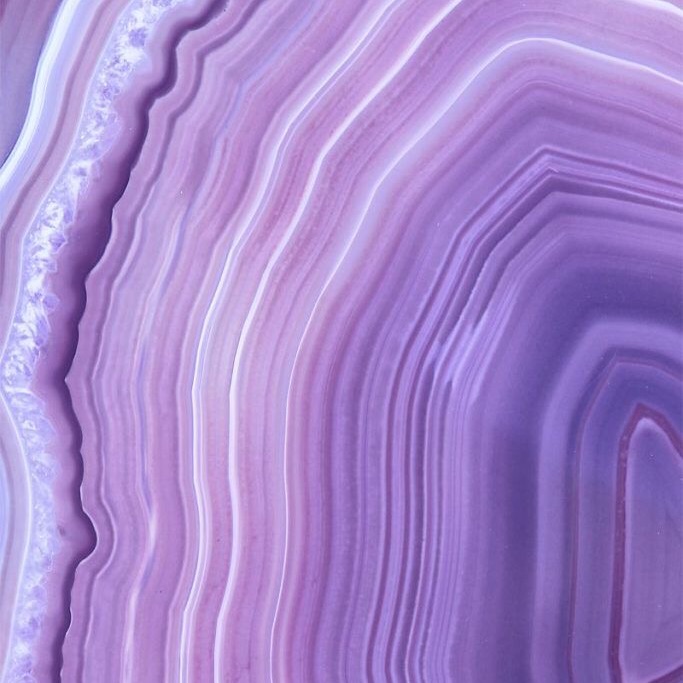profile cover