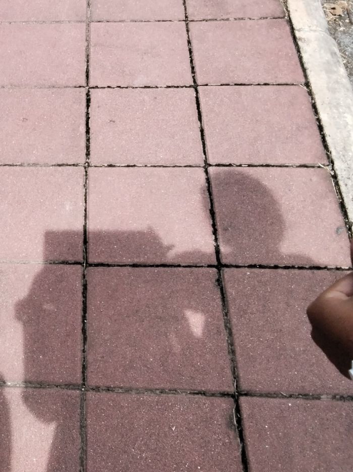 story-img