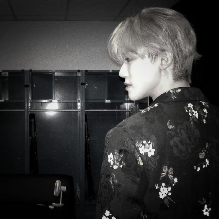 profile cover