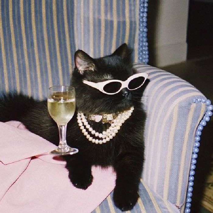 profile cover