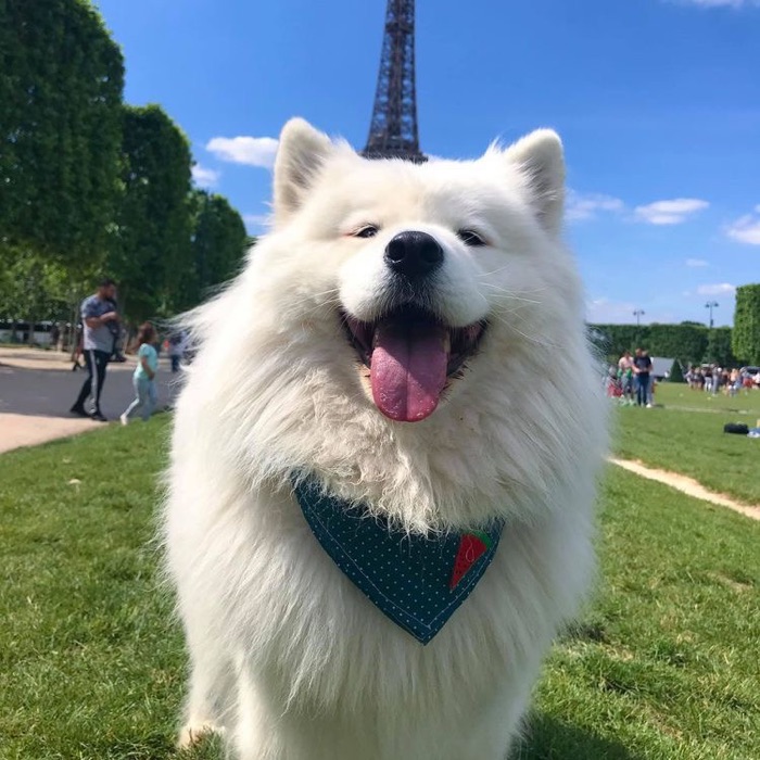 profile cover
