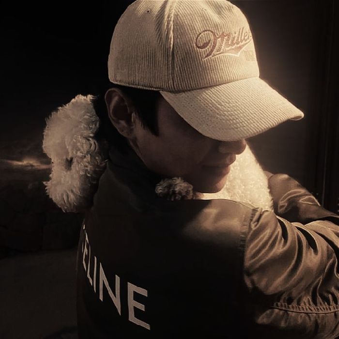 profile cover