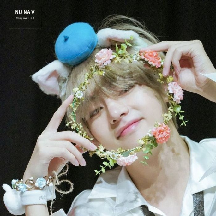 profile cover