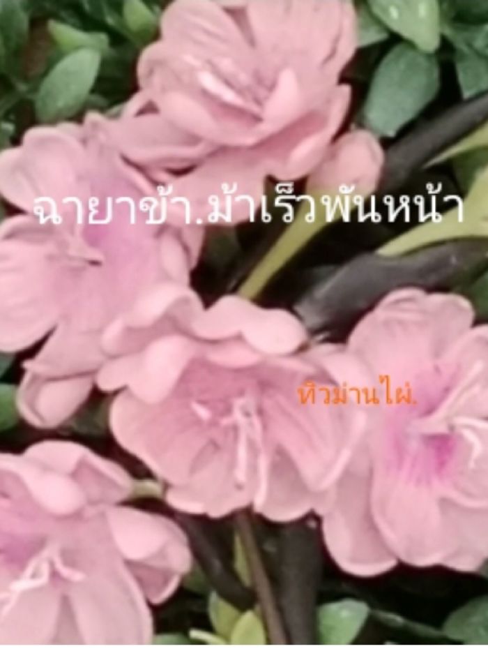 story-img
