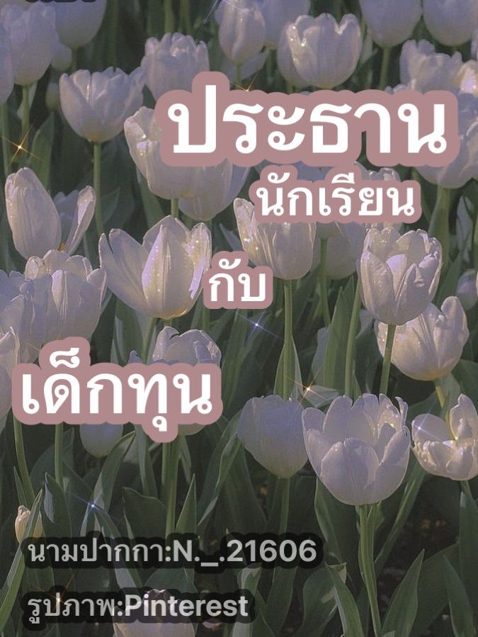 story-img