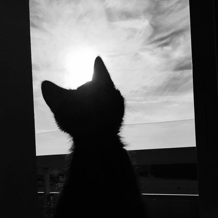 profile cover