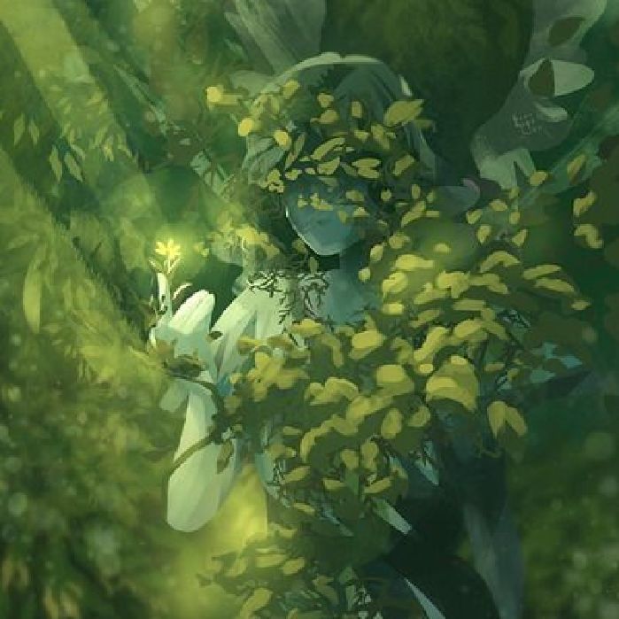 profile cover