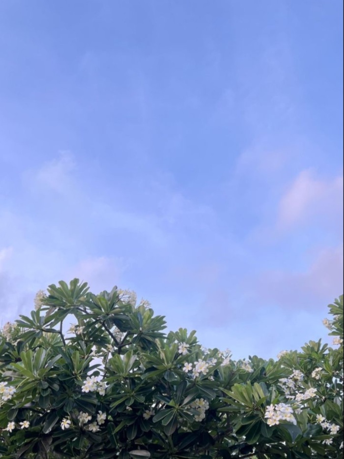 story-img