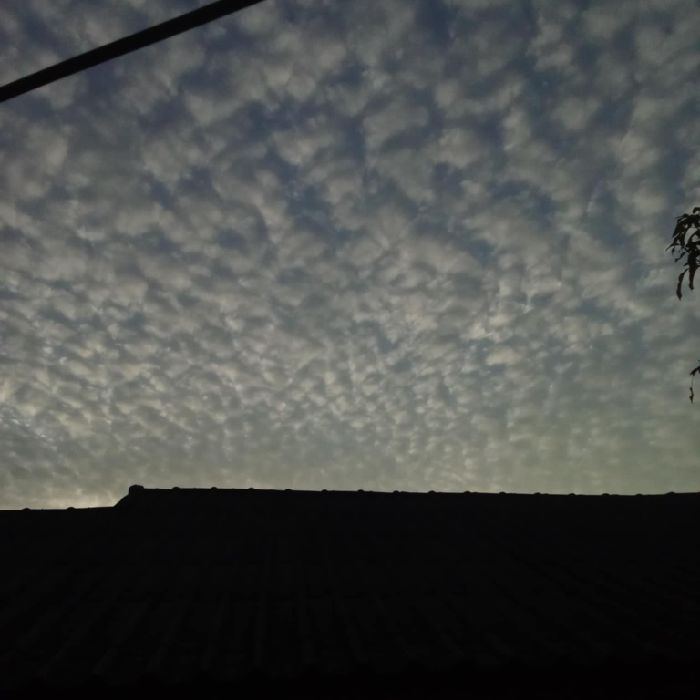 profile cover