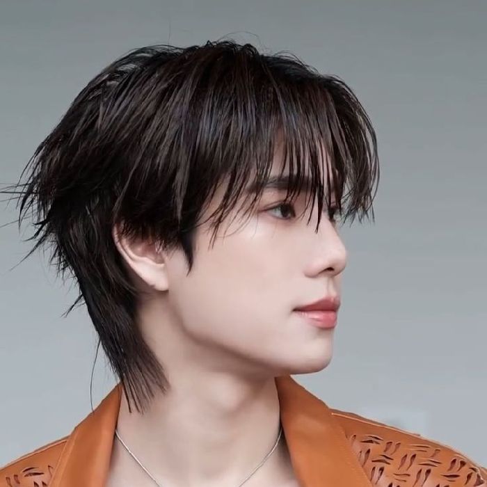 profile cover