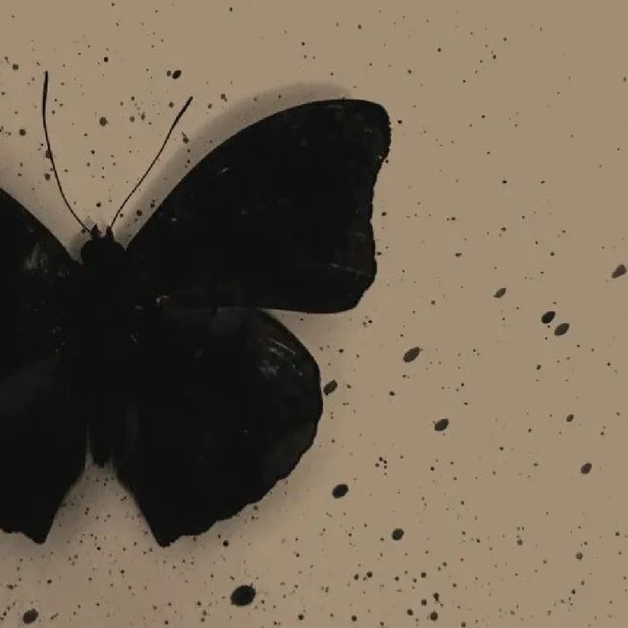 profile cover