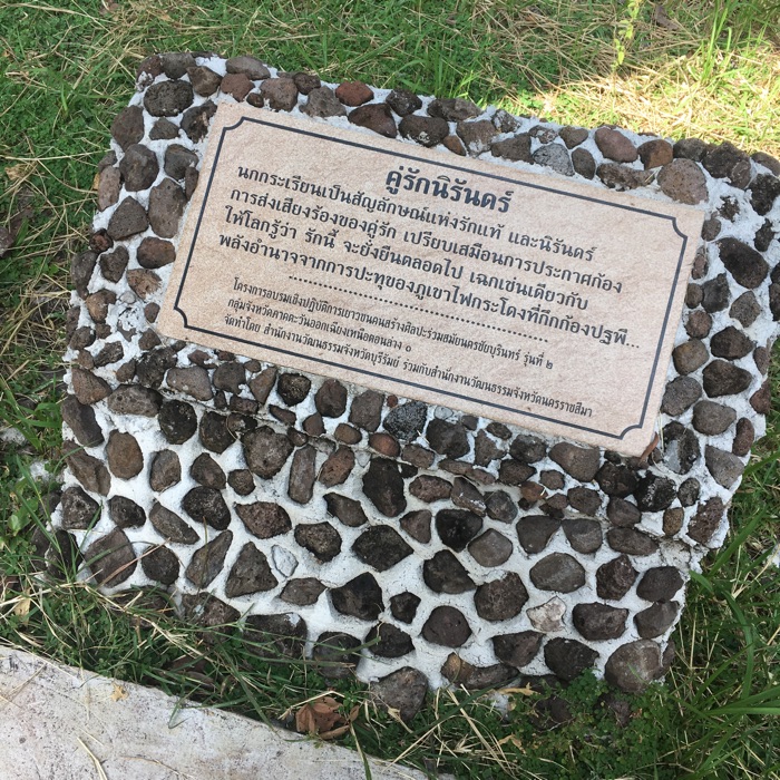 profile cover