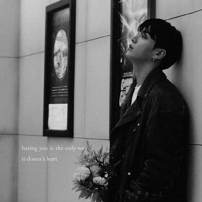 profile cover