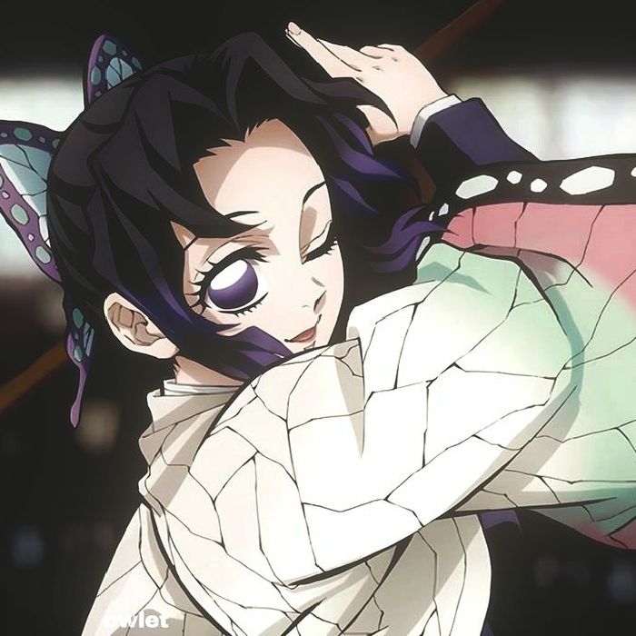 profile cover