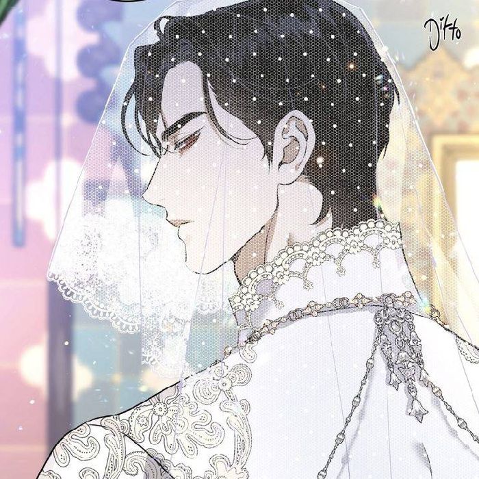 profile cover