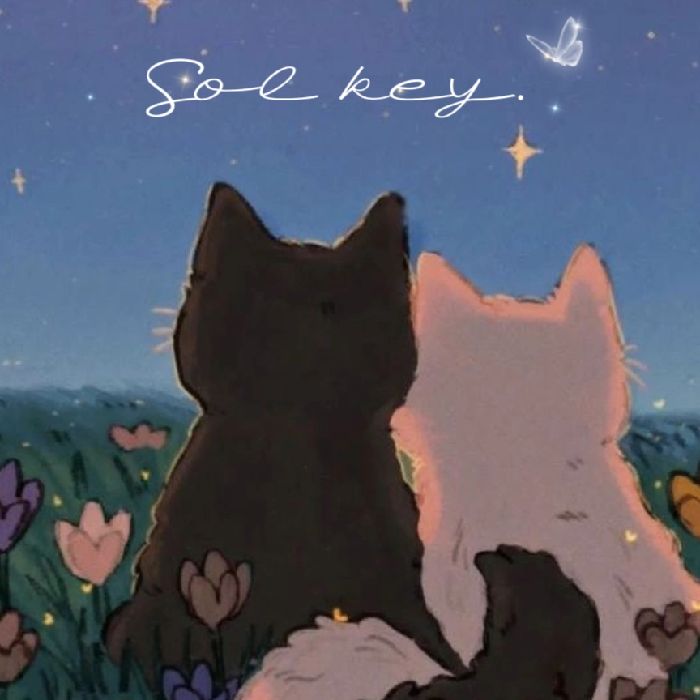 profile cover