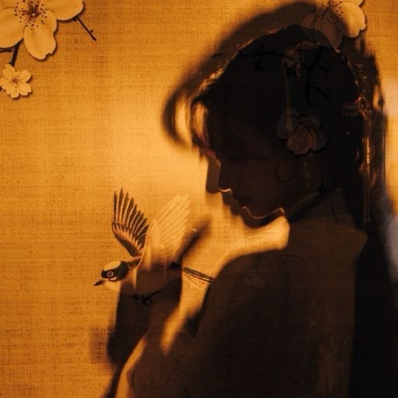 profile cover