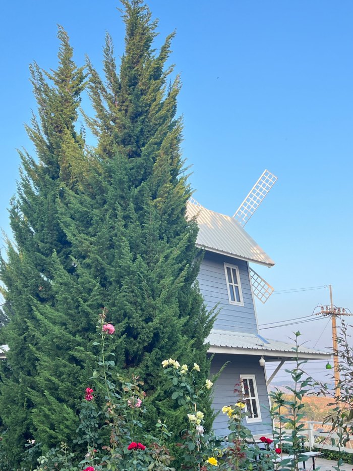 story-img