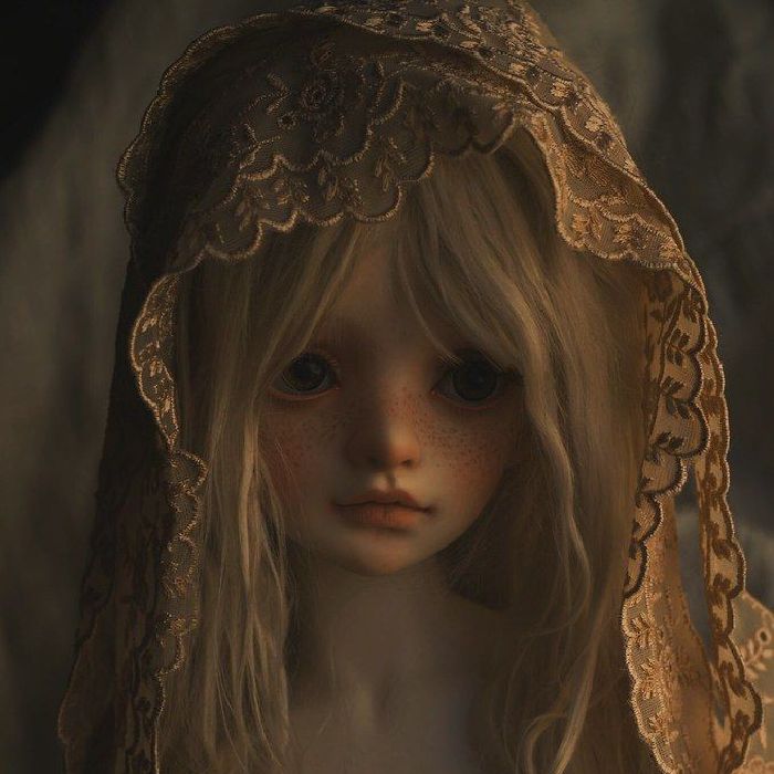profile cover
