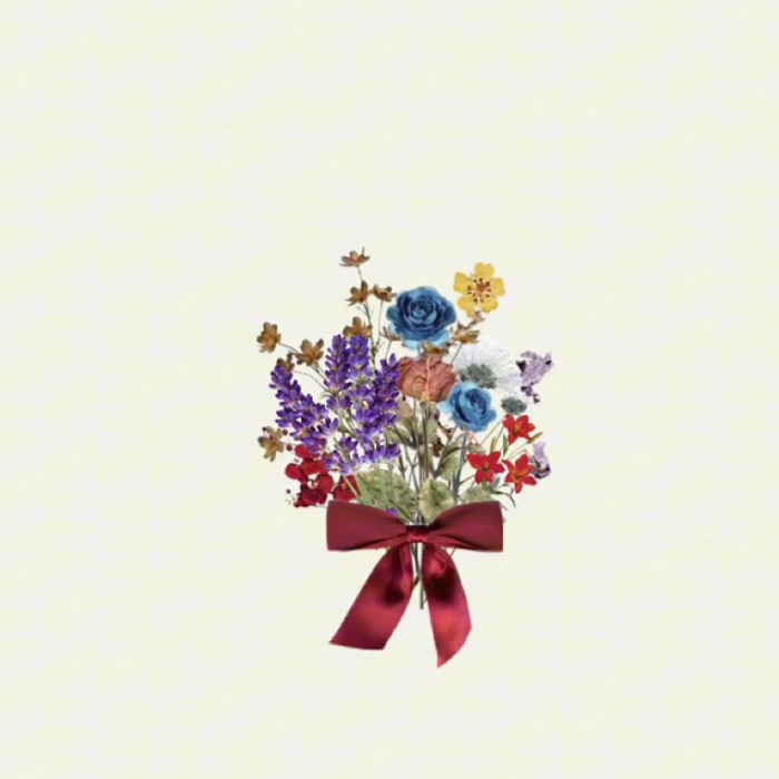 profile cover