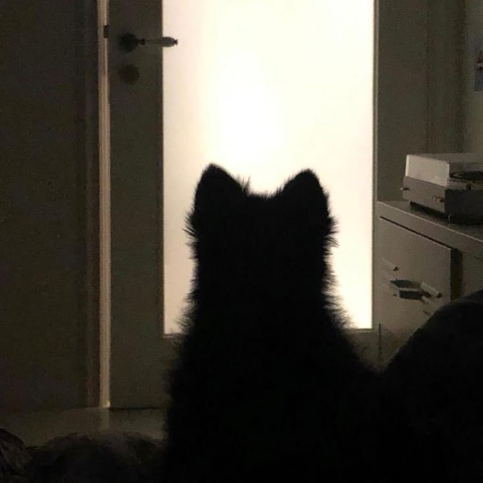 profile cover