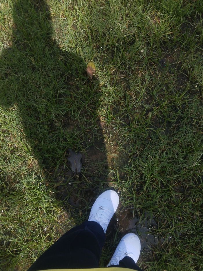 story-img