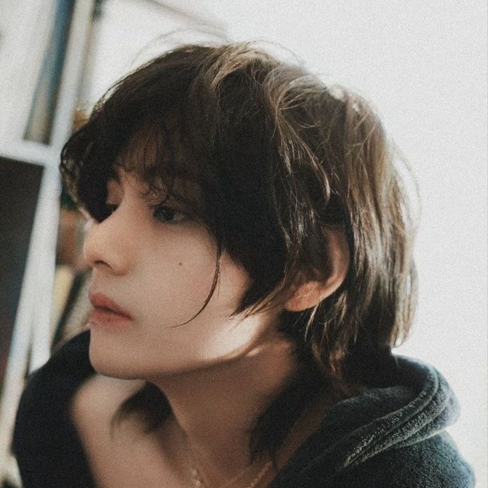 profile cover